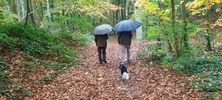 Wandelweertje ?