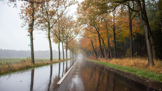 Nat wegdek na de buien