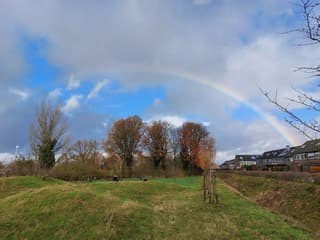 Regenboog
