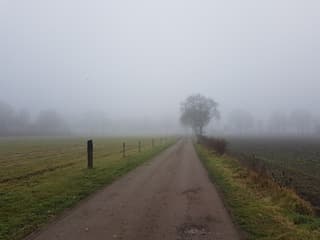 De mist hangt op het land