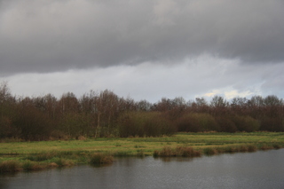 De Nieuwe Wildernis Hapert