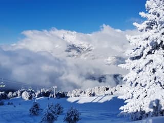 La Norma (FR) 