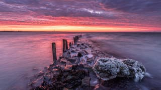 'Kleurexplosie boven de Westerschelde'