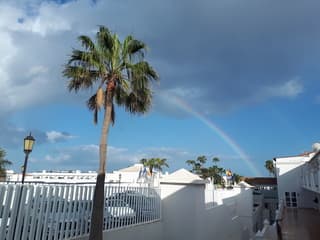 Regenboog