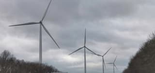 Grijs en veel wind vandaag 
