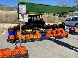 Wat vitamine C voor alle bleekneuzen!