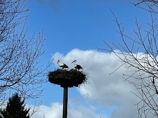Wij laten ons niet wegblazen door de storm 