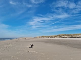 Sluierwolken boven Texel vanmiddag 