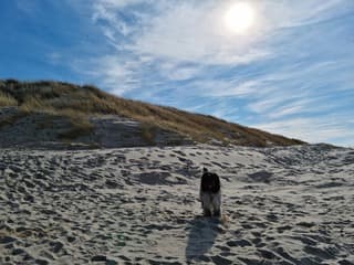 Zon en sluierwolken op Texel 