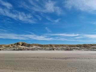 Texel vanmiddag 