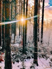 ochtendgloren in Gouvy/Steinback