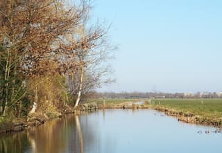 LENTE
