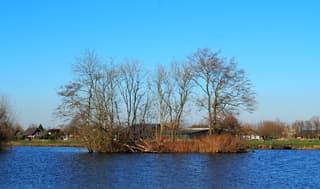 LENTE