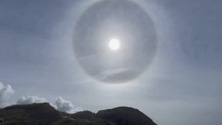Regenboog ? 