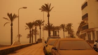 Saharazand aan het palmenstrand
