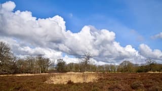 Prachtige wolken vandaag. Heerlijk wandelweer.