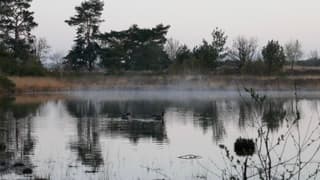 Beetje heiig vanmorgen