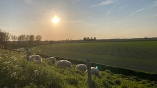 Bijna zonsondergang 