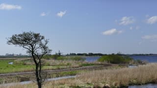 Zonnig met een frisse wind 