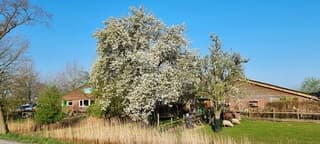 Strak blauwe lucht 