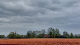 Een grijze oranje Koningsdag 