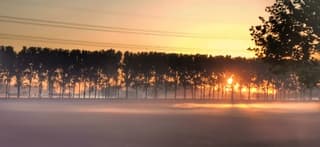 Grondmist bij zonsopkomst 