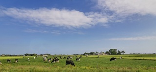 Wolken en blauw vanmiddag 
