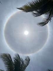 Halo om de zon