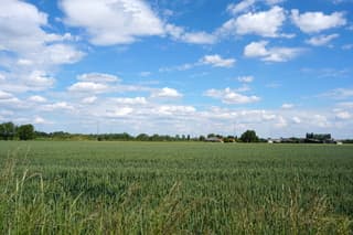 Wolken