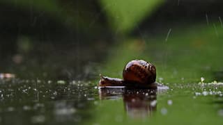 Hij blij, wij blij.... water in de tuin