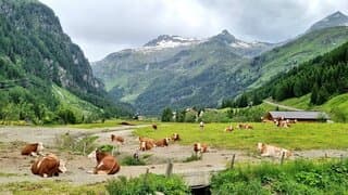 Alpen: buien, daarna zeer warm