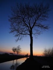 Schoonebeker Diep te Schoonebeek