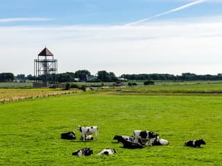 Warm en sluierwolken