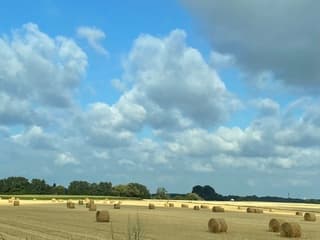 Het hooi kan zo prima drogen. 
