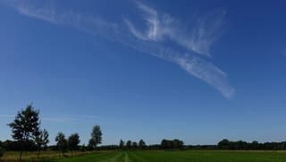 Gedraaide vederwolken (?)