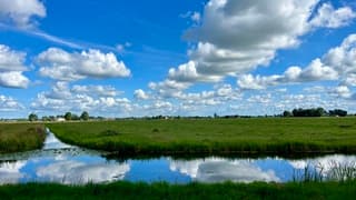 Zomer in de polder