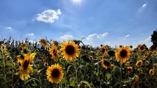 Er ontstaan wat wolkjes....