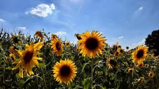 Er ontstaan wat wolkjes....