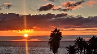 Palmboom met zonsopgang 