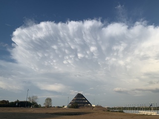 Mammatus 