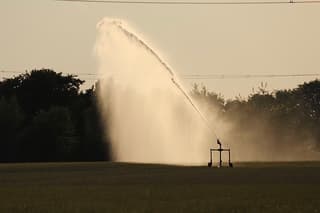 Droogte in de Achterhoek 