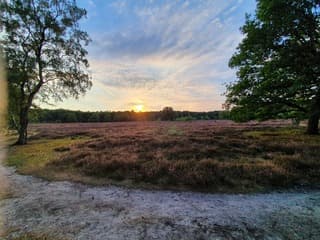 zonsondergang op de heide
