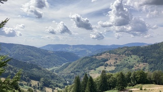 Bergland in het zwarte woud.