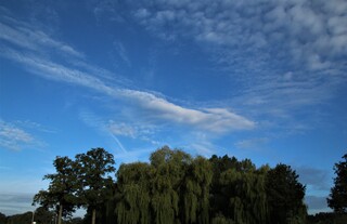 Lucht
