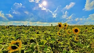 Wat hebben we weer een mooie zonnige start v/d dag gekregen.