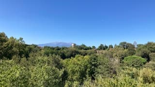 Tipje van de Pyreneeën. Strak blauw.