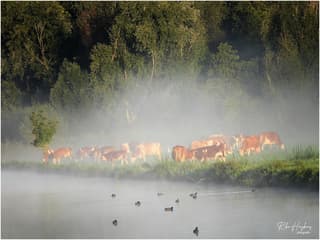 Een prachtige vroege zondagochtend.