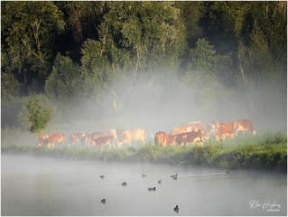 Een prachtige zondagochtend.