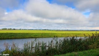 Vergezichten van Tjuchem tot de Eemshaven.