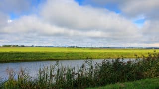 Windstil